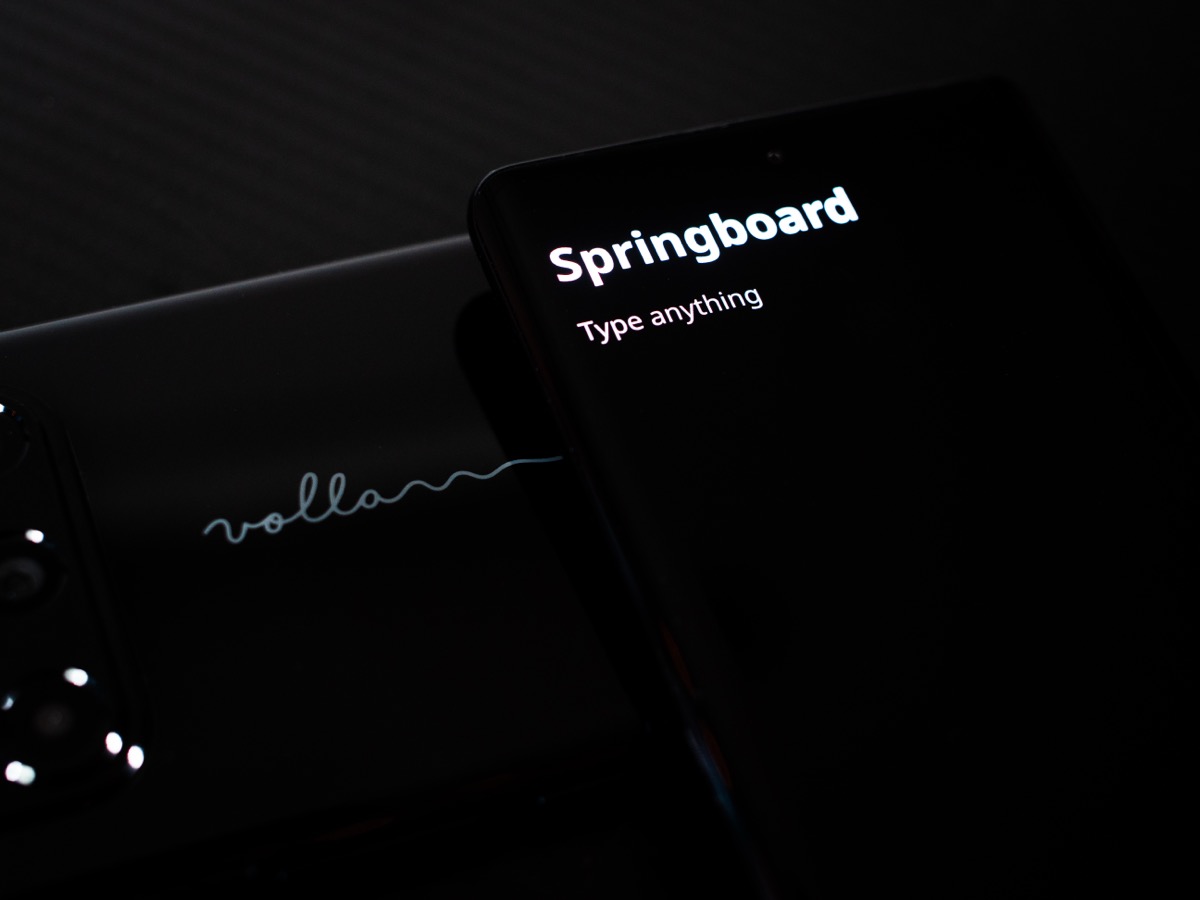 19 Volla Phone Quintus Sprungbrett.jpg